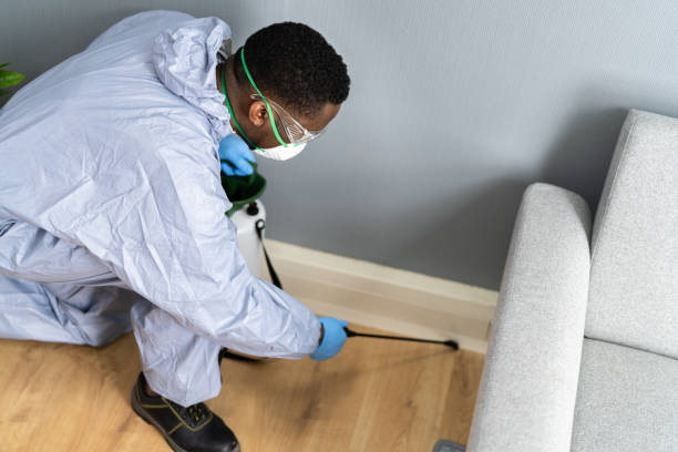 Best Indoor Pest Control  in Rome City, IN